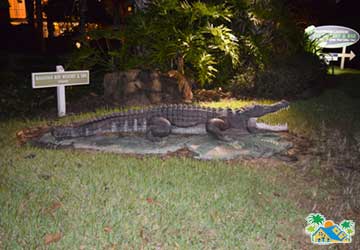 Aligator