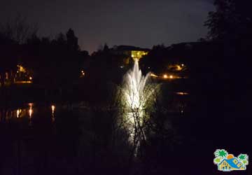 Night pond