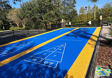 Shuffleboard