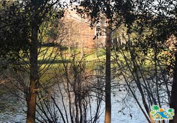 Pond