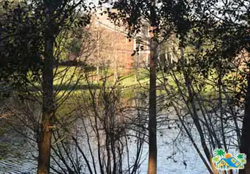 Pond