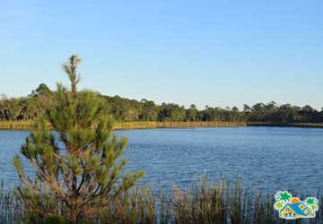 Old Lake Davenport